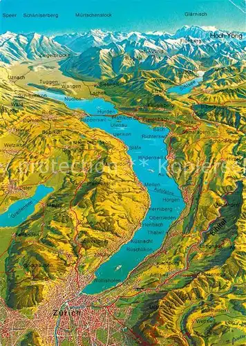 AK / Ansichtskarte Zuerichsee ZH Panoramakarte mit Alpen