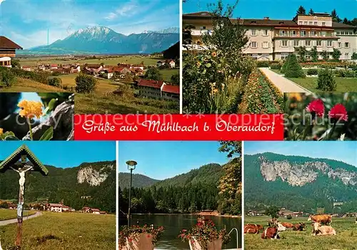 AK / Ansichtskarte Oberaudorf Muehlbach  Kat. Oberaudorf