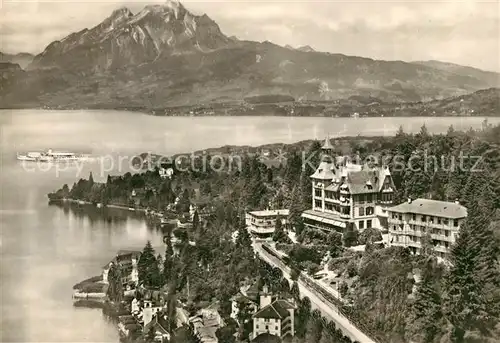 AK / Ansichtskarte Weggis Vierwaldstaettersee Hotel Albana Fliegeraufnahme