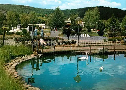 AK / Ansichtskarte Salmuenster Bad Soden Wassergarten Schwaene Kat. Bad Soden am Taunus