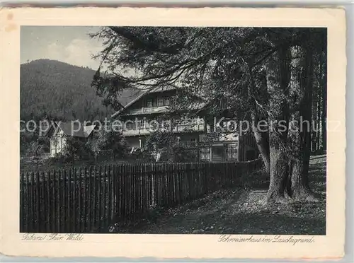 Tabarz Schweizerhaus im Lauschagrund Kat. Tabarz Thueringer Wald