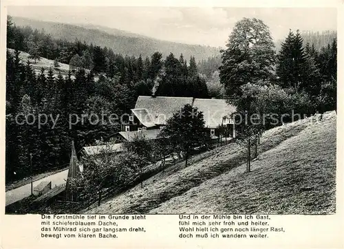 Krippen Bad Schandau Forstmuehle im Krippengrund Kat. Bad Schandau