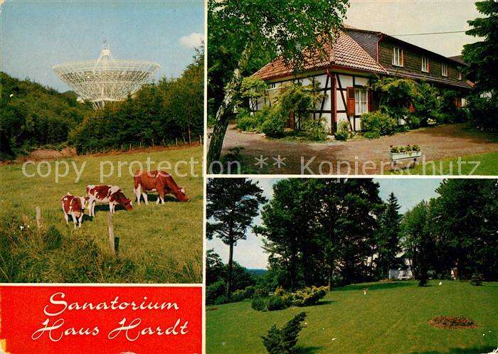 Ak Ansichtskarte Holzem Eifel Sanatorium Haus Hardt Garten