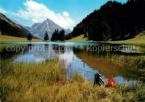 AK / Ansichtskarte Obertoggenburg Graeppelensee Wildhauser Schafberg Kat. Wildhaus