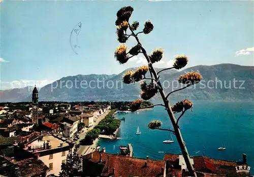 AK / Ansichtskarte Ascona Lago Maggiore Panorama