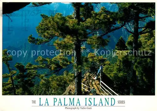 AK / Ansichtskarte La Palma Canarias Caldera de Taburiente Kat. Spanien