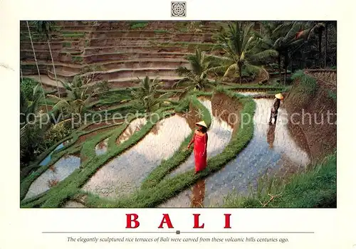 AK / Ansichtskarte Bali Indonesien rice terraces volcanic hills Kat. Bali