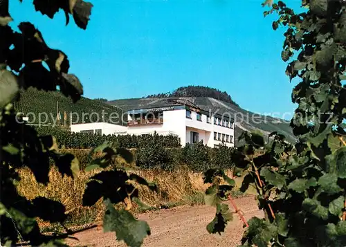 AK / Ansichtskarte Poelich Hotel Sonnental Pension Kat. Poelich