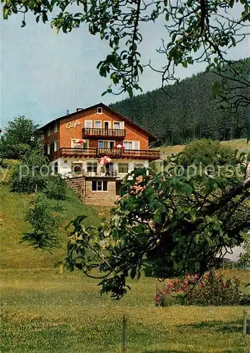 AK / Ansichtskarte Baiersbronn Schwarzwald Cafe Pension Berghof Kat. Baiersbronn