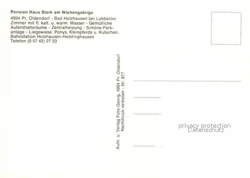 AK / Ansichtskarte Bad Holzhausen Luebbecke Pension Haus Stork am Wiehengebirge Ponys Kat. Preussisch Oldendorf
