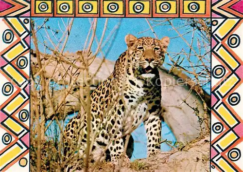 AK / Ansichtskarte Tiere Leopard Hwange Zimbabwe  Tiere Kat. Tiere