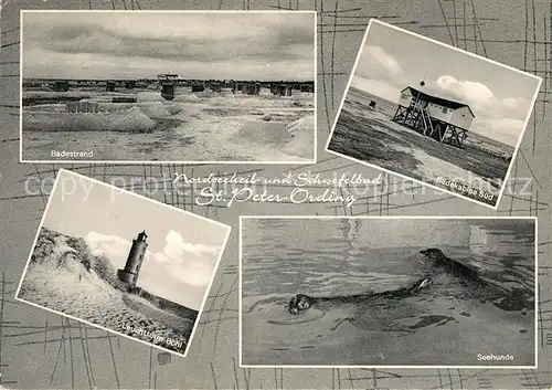 AK / Ansichtskarte St Peter Ording Badestrand Badekabine Leuchtturm Seehunde St Peter Ording Kat. Sankt Peter Ording