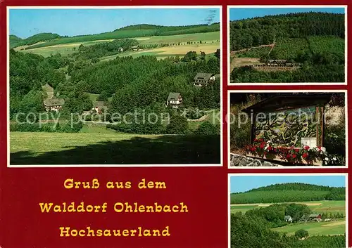 AK / Ansichtskarte Ohlenbach Panorama Waldhaus Ohlenbach Kat. Schmallenberg