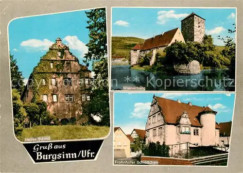AK / Ansichtskarte Burgsinn Wasserburg Neues Schloss Frohnhofer Schloesschen Burgsinn Kat. Burgsinn