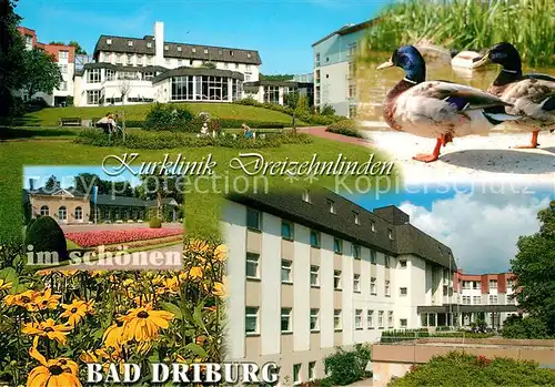 AK / Ansichtskarte Bad Driburg Kurklinik Dreizehnlinden Bad Driburg Kat. Bad Driburg