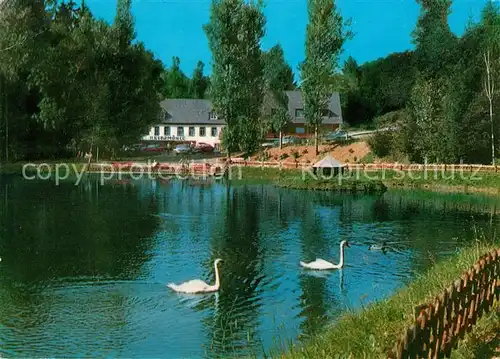 AK / Ansichtskarte Manderscheid Eifel Hotel Cafe Heidsmuehle Schwanenteich Manderscheid Eifel Kat. Manderscheid