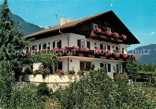 Dorf Tirol Pension Garni Rebhof Dorf Tirol Kat. Tirolo