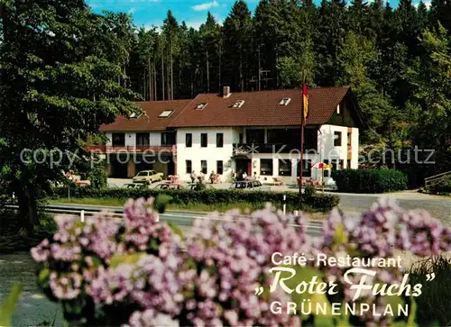 Gruenenplan Cafe Restaurant Roter Fuchs Gruenenplan Kat. Delligsen
