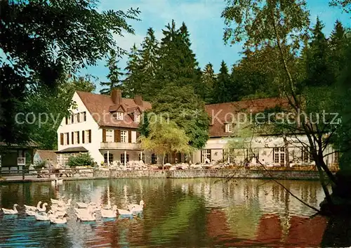 Leopoldstal Lippe Waldhotel Pension Silbermuehle Schwanenteich Teutoburger Wald Leopoldstal Lippe Kat. Horn Bad Meinberg