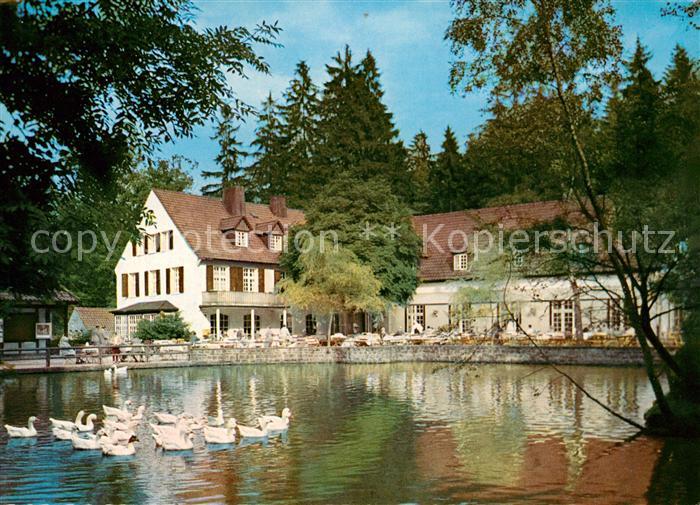 Horn Bad Meinberg Waldhotel Pension Silbermuehle Schwanenteich