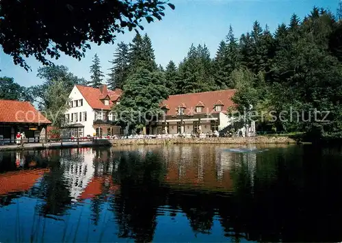 AK / Ansichtskarte Leopoldstal Lippe Waldhotel Silbermuehle Teich Leopoldstal Lippe Kat. Horn Bad Meinberg