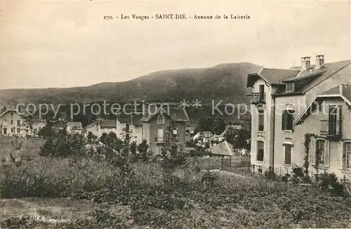 AK / Ansichtskarte Saint Die des Vosges Avenue de la Laiterie Saint Die des Vosges Kat. Saint Die des Vosges