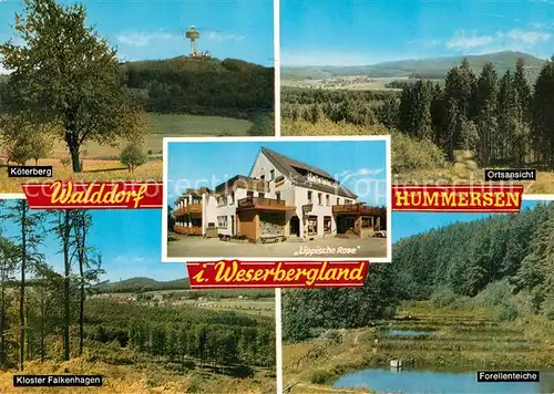 AK / Ansichtskarte Hummersen Hotel Pension Lippische Rose Hummersen Kat. Luegde