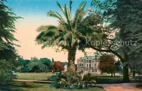 AK / Ansichtskarte Dresden Palmengruppe im Koeniglich Grossen Garten Dresden Kat. Dresden Elbe