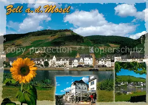 AK / Ansichtskarte Zell Mosel Sonnenblume Blick ueber die Mosel zur Stadt Hotel Restaurant Zell Mosel Kat. Zell (Mosel)