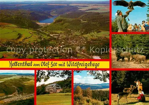 AK / Ansichtskarte Hellenthal Eifel Fliegeraufnahme Olef See Wildfreigehege Campingplatz Hellenthal Eifel Kat. Hellenthal