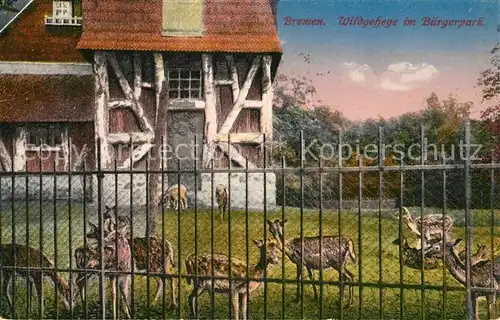 AK / Ansichtskarte Bremen Wildgehege im Buergerpark Bremen Kat. Bremen
