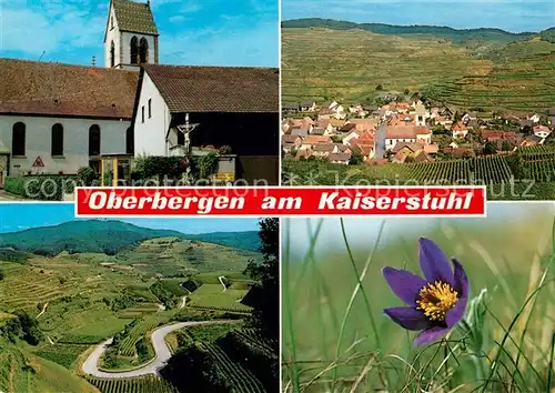 AK / Ansichtskarte Oberbergen Vogtsburg Ortsansichten Oberbergen Vogtsburg Kat. Vogtsburg im Kaiserstuhl
