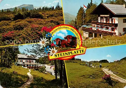 AK / Ansichtskarte Waidring Tirol Alpengasthof Steinplatte Waidring Tirol Kat. Waidring