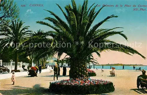 Cannes Alpes Maritimes Les Palmiers de la Place du Casino Cannes Alpes Maritimes Kat. Cannes