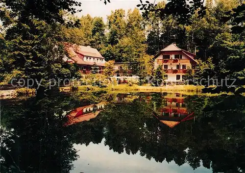 AK / Ansichtskarte Pullenreuth Waldpension Restaurant Mayerhofer Kellermuehle Pullenreuth Kat. Pullenreuth