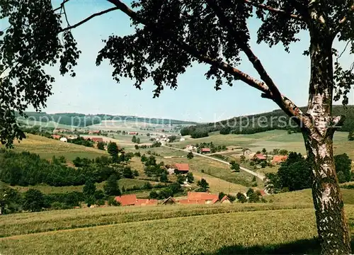 AK / Ansichtskarte Airlenbach  Airlenbach Kat. Beerfelden