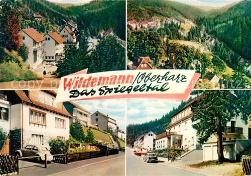 AK / Ansichtskarte Wildemann Spiegeltal Wildemann Kat. Wildemann_Harz