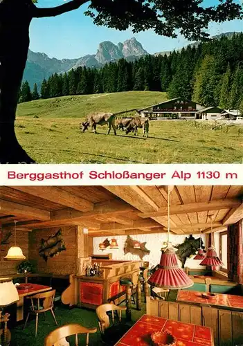 AK / Ansichtskarte Obermeilingen_Pfronten Berggasthof Schlossanger Alp Almvieh Landschaftspanorama Alpen Obermeilingen Pfronten Kat. Pfronten