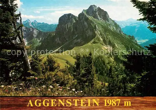 AK / Ansichtskarte Ostlerhuette Aggenstein Tannheimer Hochgebirge Ostlerhuette Kat. Pfronten