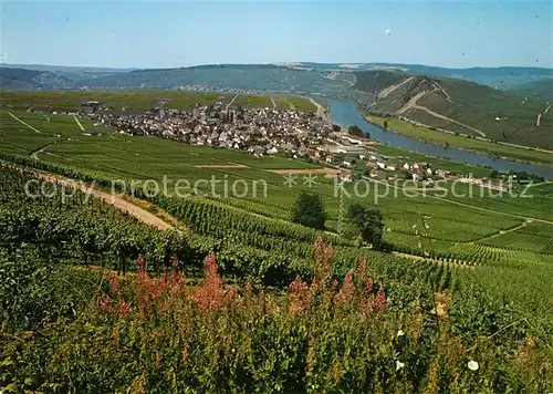 AK / Ansichtskarte Leiwen_Mosel Panorama Moseltal Weinberge Ferienzentrum Leiwen Mosel