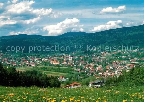 AK / Ansichtskarte Bodenmais Panorama Luftkurort am Fusse des Arbers Bayerischer Wald Bodenmais Kat. Bodenmais