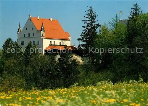 AK / Ansichtskarte Mindelheim Mindelburg Mindelheim Kat. Mindelheim