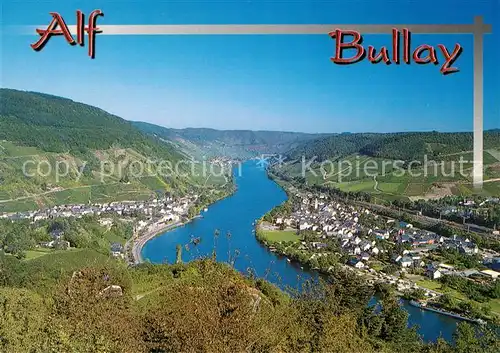 AK / Ansichtskarte Alf_Bullay_Mosel Panorama Moseltal Weinberge Alf_Bullay_Mosel