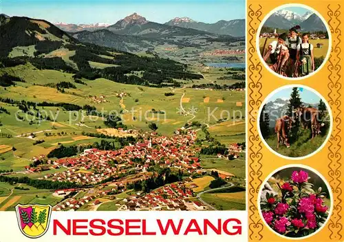 AK / Ansichtskarte Nesselwang Hoehenluftkurort mit Gruenten und Stuiben Allgaeuer Alpen Fliegeraufnahme Trachten Almvieh Alpenflora Nesselwang Kat. Nesselwang