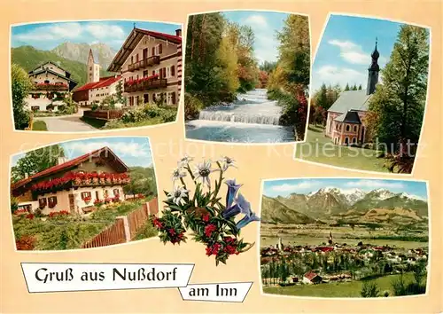 AK / Ansichtskarte Nussdorf_Inn Ortsmotiv mit Kirche Wehr Gesamtansicht mit Alpenpanorama Alpenflora Nussdorf Inn Kat. Nussdorf a.Inn