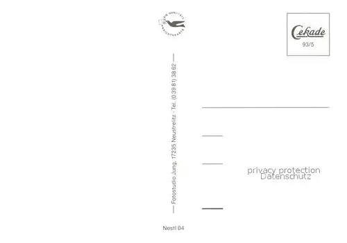 AK / Ansichtskarte Neustrelitz Stadtkirche  Neustrelitz Kat. Neustrelitz