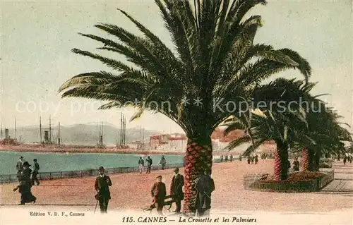 AK / Ansichtskarte Cannes_Alpes Maritimes La Croisette et les Palmiers Cannes Alpes Maritimes Kat. Cannes