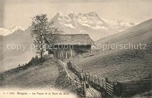 AK / Ansichtskarte Morgins Le Fayot et la Dent du Midi Morgins Kat. Morgins