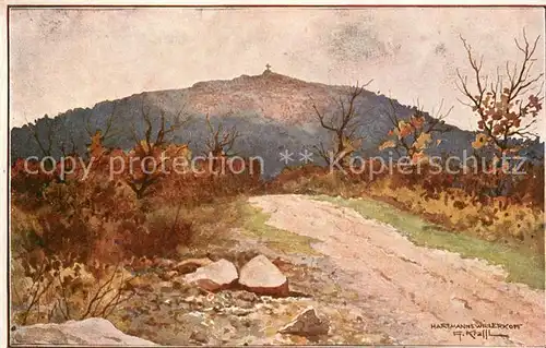 AK / Ansichtskarte Hartmannswillerkopf Vue generale versant est Hartmannswillerkopf Kat. Hartmannswiller