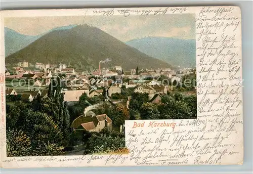 AK / Ansichtskarte Bad_Harzburg Panorama Bad_Harzburg Kat. Bad Harzburg